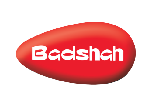 Badshah Masala logo